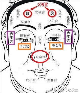 子女宮有痣|淚堂在哪？子女宮解析與子女運勢息息相關 